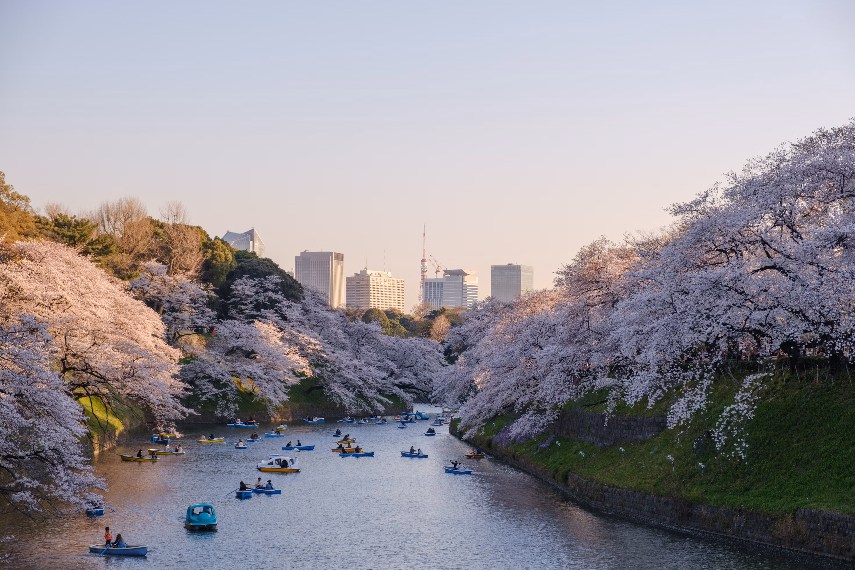 Tokyo, Japan